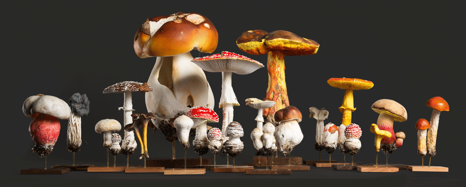 Véronique Clamot - Gallery Framing - Brussels